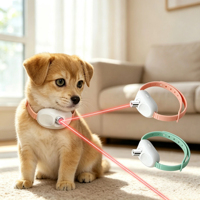 Jouet laser automatique pour chat, interactif mains libres, collier pour animaux de compagnie, rechargeable par USB, lumière LED, jouet auto-entretenant pour chats et chiens