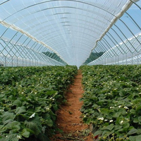 Serres agricoles GT-006, structure en acier galvanisé, serre tunnel recouverte de film PEP, installation facile pour légumes et fruits