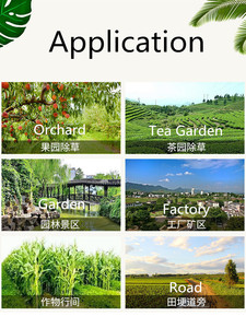 Glifosato IPA 360 g/l Glifosato 30% AS Herbicida No Selectivo para Cultivos Anuales en Huertos de Frutas y Agricultura - Product Image 3