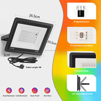 Lampu Sorot LED RGB Luar Ruangan IP66 220-240V 50/100W Kontrol Jarak Jauh IP66 Aluminium Die-Casting Colokan EU Lampu Proyektor LED Reflektor