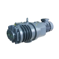 Bomba de Vacío de Hierro Fundido DLT LC250 de Baja Presión 250m³/h 2.2kW Trifásica Entrada ISO63 para Industria Química OEM Disponible