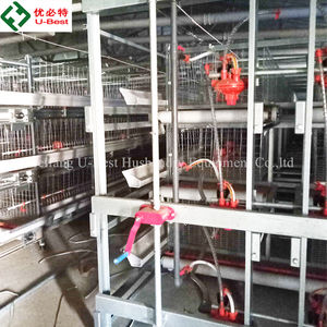 Equipo automático <span class=keywords><strong>de</strong></span> cría <span class=keywords><strong>de</strong></span> <span class=keywords><strong>pollos</strong></span>, jaula para <span class=keywords><strong>pollos</strong></span> <span class=keywords><strong>de</strong></span> engorde y pollitos - Product Image 6