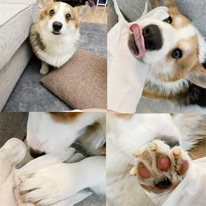 Gants de toilettage pour animaux de compagnie – Nettoyage et massage pour chiens et chats – Gants anti-poils à cinq doigts pour le bain et le toilettage - Product Image 5