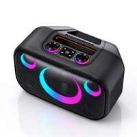 ZL-4406 Enceinte de fête portable de 8 pouces avec poignée télescopique, puissant système audio de type tour DBL Pro