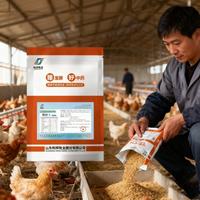Aliment de croissance pour volailles de haute qualité, pré-mélange en couches, améliorant la santé intestinale, améliorant la qualité des œufs, complément alimentaire pour poulets LIBON