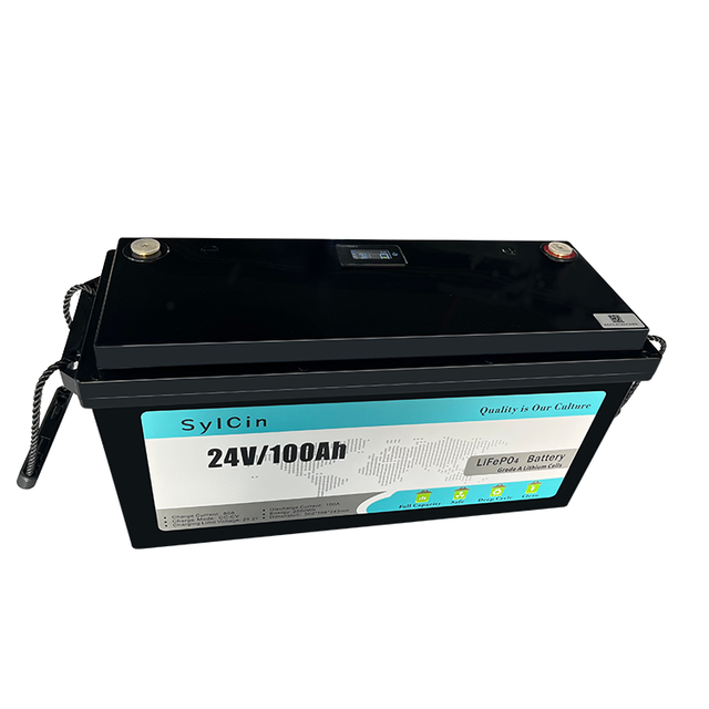Lfp Pack Rechargeable Deep Cycle BMS 12.8V 12V 24V100Ah 200Ah Lithium Ion Battery Energy Storage Battery Lifepo4 12v