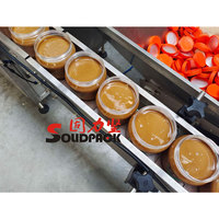 Remplisseuse automatique de pompe à rotor Solidpack miel beurre d'arachide