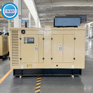Generatore Diesel Silenzioso Personalizzabile 30kw 50kw 100kw 200KW 300kw Tipo Silenzioso - Product Image 1