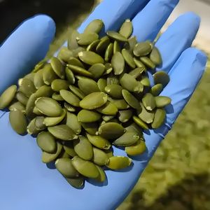 Graines de citrouille biologiques de haute qualité à bon prix Vente en gros en usine en Chine - Product Image 3