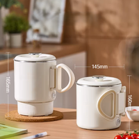 Mini-casserole électrique portable 1L avec fonction économie d'énergie pour la maison, l'hôtel, le dortoir, la voiture et l'extérieur, en acier inoxydable