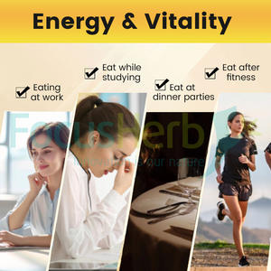 FocusHerb Gummies de Shilajit Pur de l'Himalaya de Qualité Or avec 100% Shilajit, 60 Gummies - Product Image 4