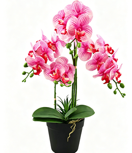 Piccola Pianta Artificiale di Orchidea Phalaenopsis - Fiore Finto in <span class=keywords><strong>Vaso</strong></span> Ecologico Sempreverde Senza Necessità di Irrigazione per Capodanno, Laurea, Pasqua - Product Image 1