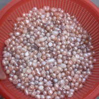 Perles d'eau douce naturelles de qualité médicale, non percées, en vrac, non-nucléées, matière première en poudre de perle, pour offrandes de mandala bouddhiste, vente en gros