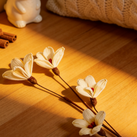 Fleurs en écorce de maïs biodégradables, écologiques, faites à la main, de qualité supérieure, pour la décoration de Pâques et les événements religieux