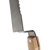 Outil d'apiculture de grattage d'extracteur de miel de couteau de débouchage de bord dentelé de 280mm