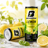 Boissons énergisantes pétillantes prébiotiques avancées à faible teneur en glucides, fabrication OEM, MOQ flexible, prix bas, vente en gros