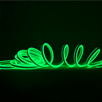 Tira de Luces LED de Neón Acrílicas de Doble Cara para Exteriores, Impermeables IP65, Luces de Navidad, RGB Flexible, Alto CRI 90, Regulable
