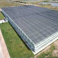 Nouvelle serre en verre de type Venlo incluant un système de culture hydroponique solaire