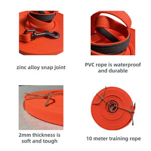 Petdom <span class=keywords><strong>laisse</strong></span> <span class=keywords><strong>rétractable</strong></span> pour animaux de compagnie <span class=keywords><strong>10M</strong></span> matériel PVC corde d'entraînement pour animaux de compagnie corde d'entraînement pour <span class=keywords><strong>chien</strong></span> - Product Image 2