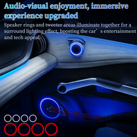 Kit de Luces Ambientales Interiores de 28 LED RGB de 12V y 10W para BYD ATTO3 2022-2024 |   Control por Voz y Aplicación |   Instalación No Destructiva