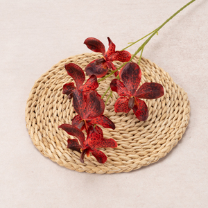 Décoration Florale pour la Maison : Arrangement de 5 Orchidées Vanda et Phalaenopsis Artificielles en Soie, Fausses Feuilles pour Entrée - Product Image 4