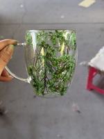 Cangkir bening dengan bunga, 150ml 250ml 350ml 450ml bunga kering gelas dinding ganda cangkir kopi Demitasse