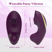 Ferngesteuerter Tragbarer Paar-Vibrator Silikon-Sexspielzeug für Frauen Vibrierende Unterwäsche für Erwachsene Intimität