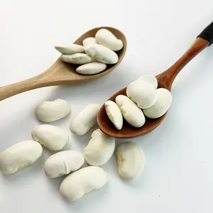 Big Size White Kidney Bean 40-50,50-60,60-70,80-90Pcs/100G Nieuwe Populariteit hot Koop Producten Prijs Witte Bonen