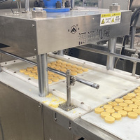 Presse à sucre flexible et haute performance