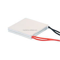 Module Peltier 12V TEC2-19006 – Kit de Refroidissement Thermique pour Climatiseur, Cellule de Réfrigération TEC, Dispositif Dissipateur de Chaleur, Refroidisseur Thermoélectrique