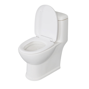 WC monobloc contemporain en céramique à économie d'eau, à poser au sol, à double chasse siphonique, pour projets hôteliers - Product Image 2