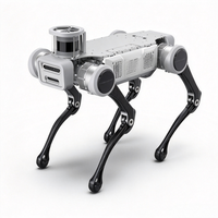 Robot quadrupède S10