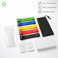 Juego de Mini Bandas de Resistencia TPE de Cinco Niveles OEM ODM con Bolsa de Transporte para Fitness en Casa y Programas de Marca Privada