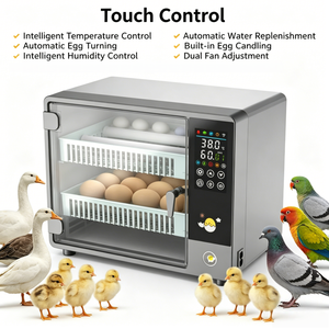 Incubadora de Huevos Totalmente Automática para 24 Huevos, Doble Fuente de Alimentación, Volteo Automático, Control de Temperatura, Alta Tasa de Incubación para Huevos de Ganso y Codorniz - Product Image 6