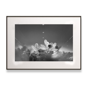 Paisaje blanco y negro pared arte decoración del hogar enmarcado Mix Media ilustraciones lienzo impreso Proyecto Blanco MAT <span class=keywords><strong>pinturas</strong></span> - Product Image 2