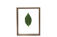 Bingkai Foto KT A3 MDF Cetak Sablon Modern Tahan Air Grosir Desain Bunga Pernikahan untuk Pajangan Meja