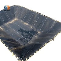 Lámina/Película de Polietileno UV Negra para Revestimiento de Estanques de 1 mm, 1.5 mm, 2 mm, Geomembranas con Recubrimiento de Polietileno para Proyectos