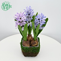 Bunga Sutra Buatan yang Berwarna-warni, Ranting Bunga Hyacinth Sedang, Daun Hijau Lebat untuk Dekorasi Dalam Ruangan, Rumah, Taman, dan Luar Ruangan