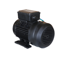 Moteur à induction AC MS100L1-4 Moteur entièrement fermé à arbre creux 2,2 kW 3 CV