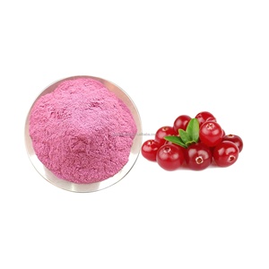 Grosir 100% konsentrat alami minuman instan bubuk jus buah bubuk Cranberry - Product Image 2