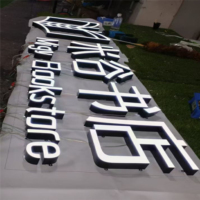 Lettres en résine époxy LED lumineuses et étanches, personnalisables en 3D, haute luminosité, durabilité, couleurs variées pour entreprises et parcs