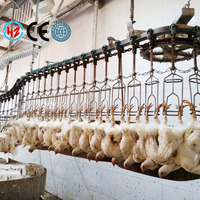 Équipement de plumeuse de volailles et de blanchiment des plumes, Ligne de production d'abattage de volailles avec moteur, Haute productivité 1000 plumes/heure, 380V