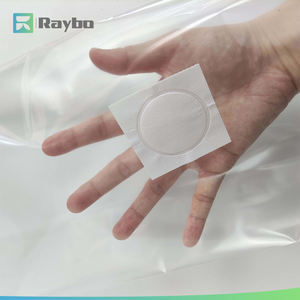 RAYBO Vente en gros de sacs de culture carrés en PP respirants à oxygène complet pour la culture de champignons et de champignons comestibles - Product Image 5