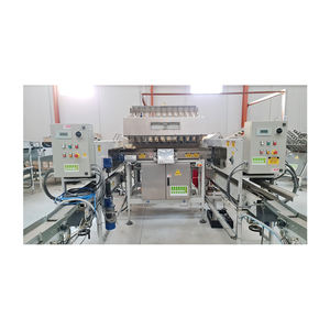 Línea Sorma Pestratrice para melocotones en España Fabricante al por mayor Línea de clasificación de frutas usadas Máquina de línea de clasificación comercial - Product Image 1