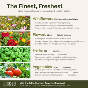 Mezcla de flores perennes de verano sin fin de <span class=keywords><strong>Eden</strong></span> Brothers 1/4 LB 120.000 + Coneflower atrae PÁJAROS PARA jardineras de jardín y exteriores - Product Image 6