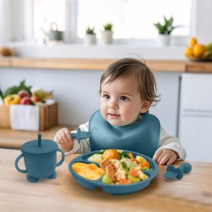 Offre Spéciale : Ensemble d'alimentation pour bébé 0-12 mois – Bol à ventouse en silicone sans BPA, tasse à paille, assiette, bavoirs souples et adaptés aux enfants - Product Image 5