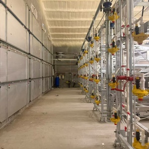 Jaula de Cría Tipo H Totalmente Automática - Product Image 2