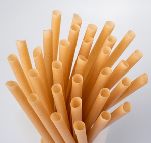 Pajitas de caña de azúcar de tamaño personalizado, biodegradables, compostables y sostenibles para hoteles, catering, fábrica OEM - Product Image 1