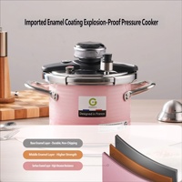 Autocuiseur en acier inoxydable émaillé avec panier vapeur et pot intérieur, personnalisable (logo, couleur, taille) pour la cuisine domestique ou comme cadeau