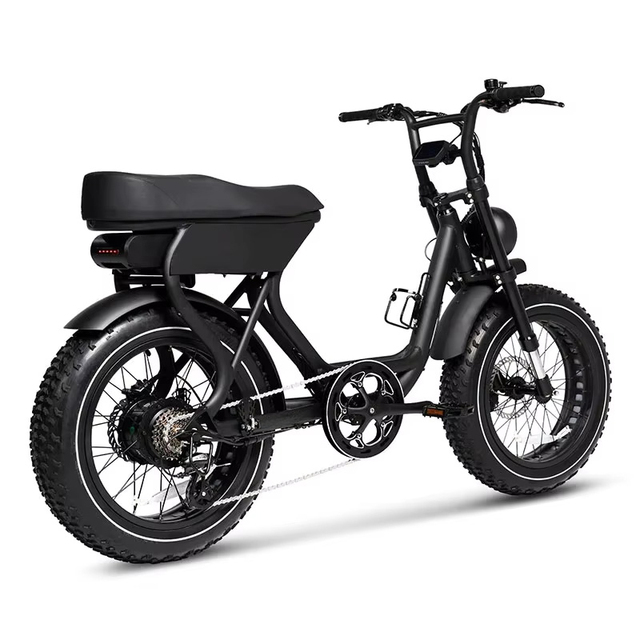 Factory Price 48V Electric Hybrid Bike 750W Fat Tire Electric Bicycle City E-Bike with Lithium Battery Power Supply
